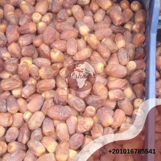 WhatsApp Image 2024-10-17 at 13.43.39_b8daa72a