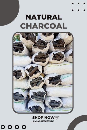 WhatsApp Image 2024-09-04 at 14.23.10_312218af