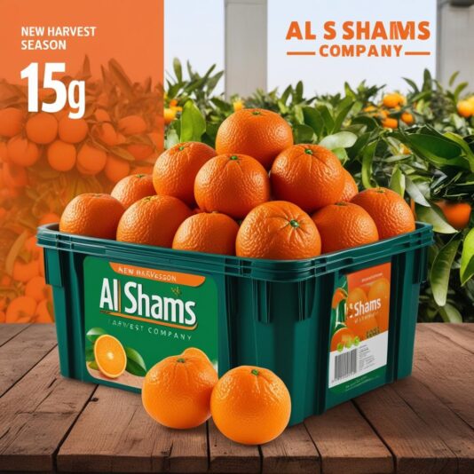 WhatsApp Image 2024-12-01 at 15.16.06_68c1bbe3