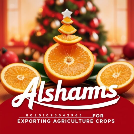 WhatsApp Image 2024-12-12 at 2.13.11 PM