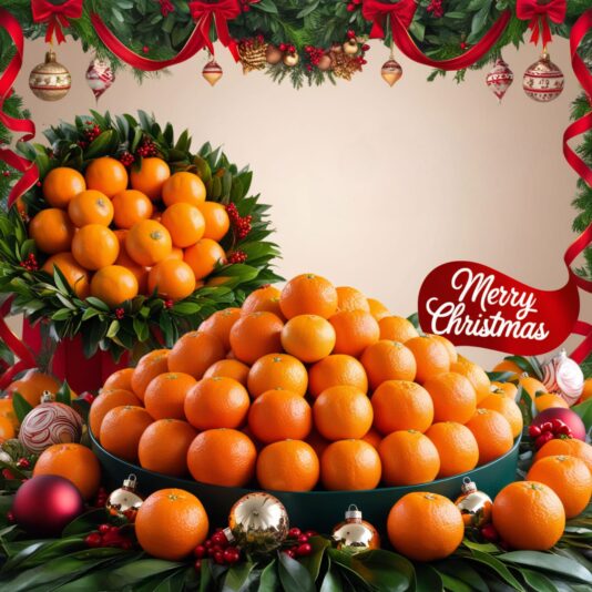 WhatsApp Image 2024-12-12 at 2.13.11 PM (1)