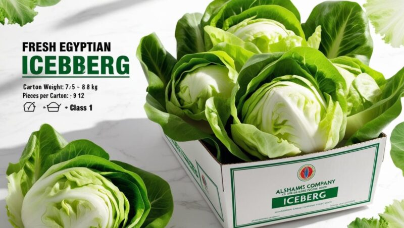 WhatsApp Image 2024-12-19 at 14.46.39_e602ba35