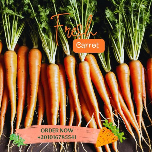 5920208540742569161 (1)