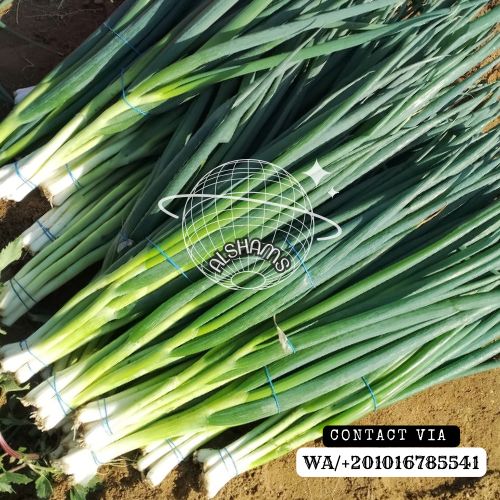 IMG-20240128-WA0044 - Copy