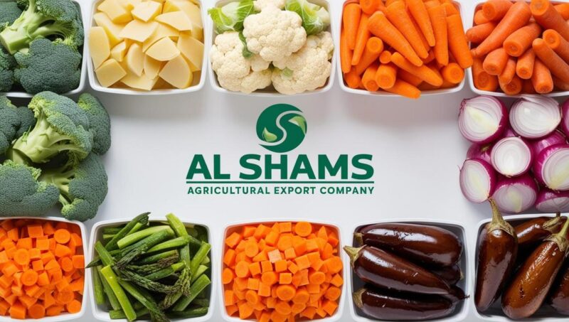 WhatsApp Image 2025-01-01 at 04.02.42_15b230ab