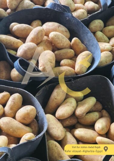 WhatsApp Image 2025-02-02 at 15.05.03_2a0c774a