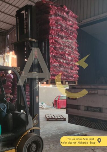 WhatsApp Image 2025-02-02 at 15.05.04_724e6d4a