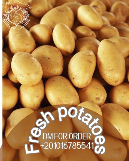 WhatsApp Image 2024-02-14 at 19.36.06_1d08b19b