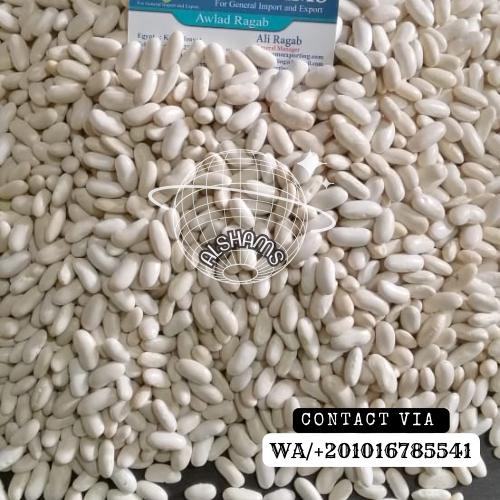 IMG-20240128-WA0032 - Copy