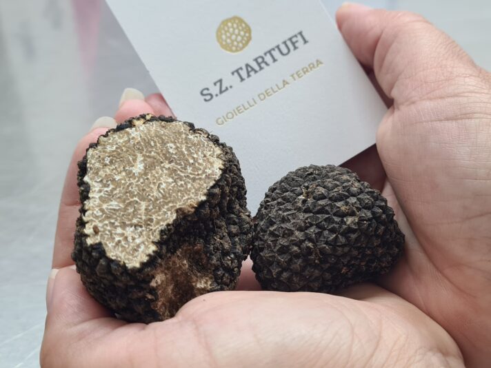 FOTO TARTUFI 11 GIUGNO