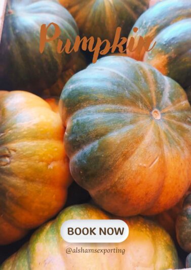 WhatsApp Image 2025-03-18 at 12.19.26_6907c6bc