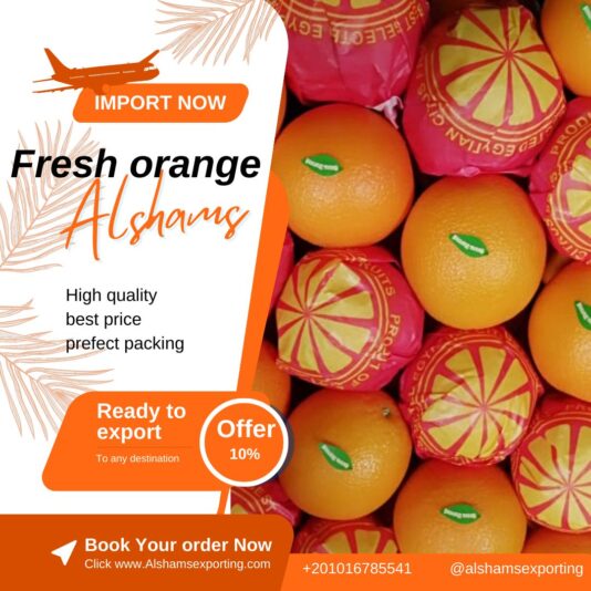 WhatsApp Image 2024-02-01 at 16.05.16_24ac7255