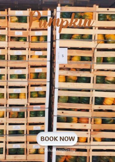 WhatsApp Image 2025-03-18 at 12.19.26_e0b2877b