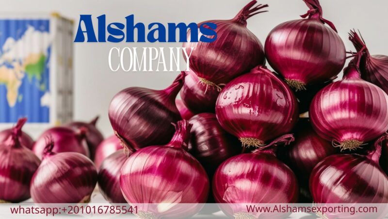 WhatsApp Image 2025-04-13 at 14.13.37_e4b901e5