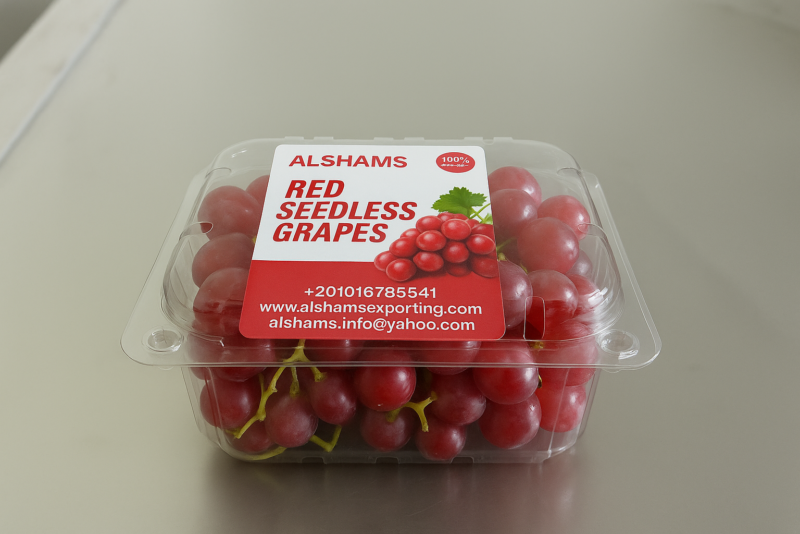 0ba7fd57-ee9e-4507-b518-7652902000af