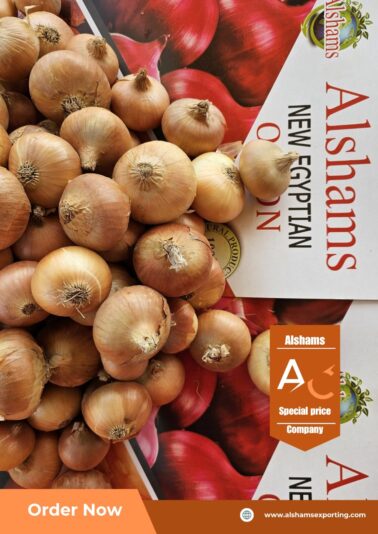 WhatsApp Image 2025-04-27 at 14.46.36_8c131768