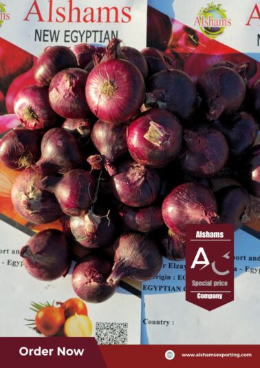 WhatsApp Image 2025-04-27 at 14.46.52_84ab69da