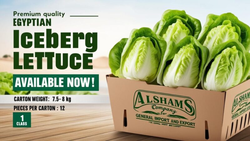 WhatsApp Image 2024-12-19 at 14.46.40_f8ca9edb