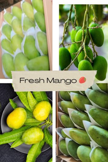 WhatsApp Image 2024-08-04 at 14.59.42_87fc2e4e