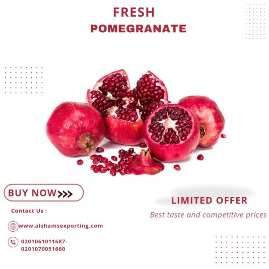 WhatsApp Image 2024-08-07 at 15.36.32_36c02d72