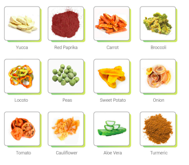 Captura de Pantalla 2024-08-12 a la(s) 8.43.09 a. m.