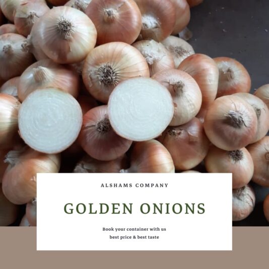 WhatsApp Image 2024-07-01 at 15.54.34_8579a00f