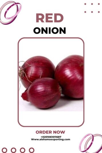 WhatsApp Image 2024-08-22 at 14.25.46_0f7e4767