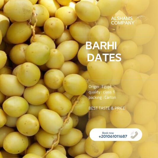 WhatsApp Image 2024-08-25 at 13.35.37_2b40ae04