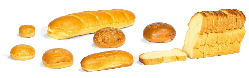 WhatsApp Image 2024-09-06 at 15.25.03