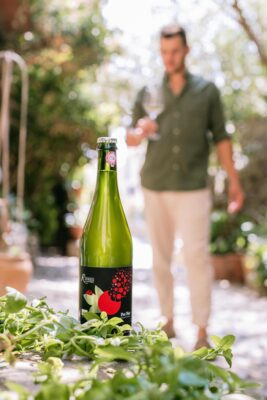 RICARDELLE-LAUDREC-COLLIOURE