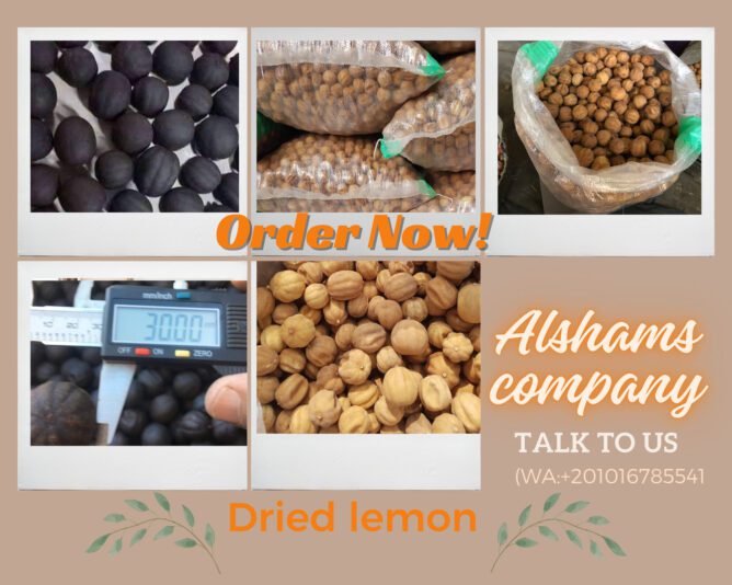 399077995_10228060083560914_7884012040025461082_n