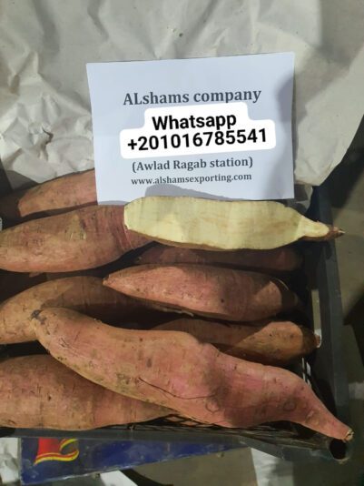 361616443_10227337367293459_4206899729572314868_n