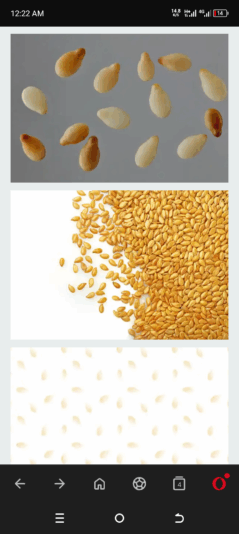 Screenshot_20250620-002252