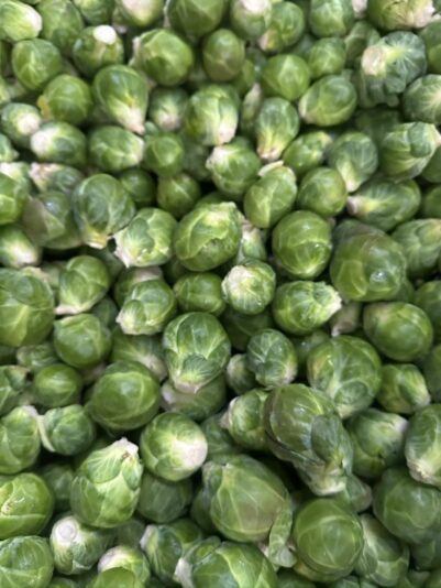 405f7ec9-725c-4a66-a6df-e4954a50a401