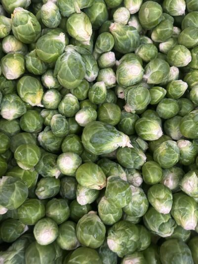 ccc5ce75-87fb-43cd-a49e-48af0358ac81