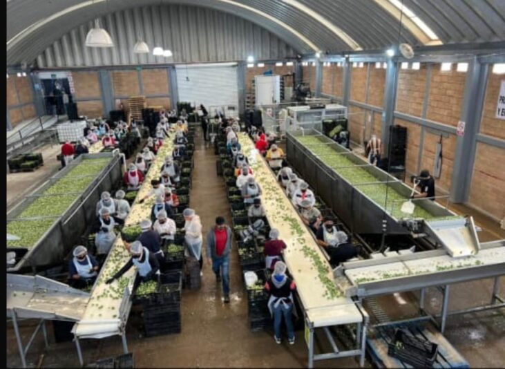 2795530a-a4a7-4cfa-a160-1b981b85923f