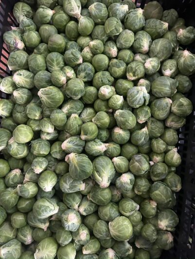 1050f487-ddf2-42ff-9c34-14a2d6ba9708