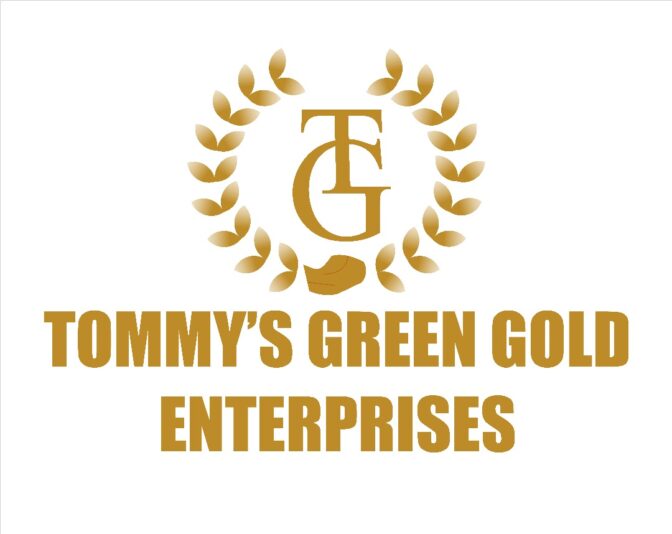 Adeyemi Adetomiwa Emmanuel