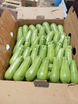 e9ca2f0e-bf97-4ff1-a350-4613da112b20