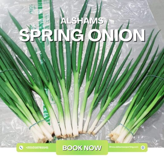 WhatsApp Image 2025-11-16 at 12.10.39_7cb3465a