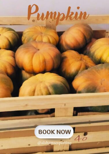 WhatsApp Image 2025-03-18 at 12.19.23_69e4269c