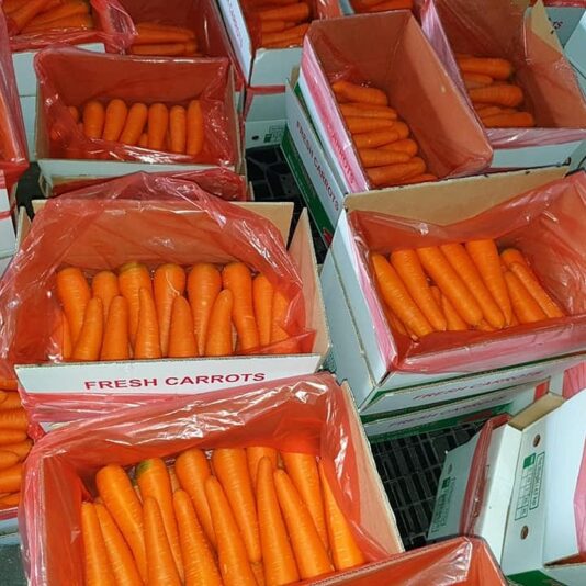 z2453085104739_5f06d4994ab3c41e6ed84caef3f66e49