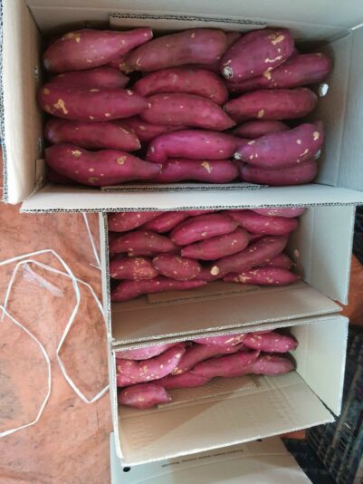 z2453084977972_49ebb2fb1fc39fdcd36d9d017e2580a7