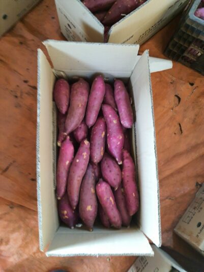 z2453084983078_9bfb0e57947e4c4d6f666f7c7fff0d4c