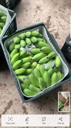 z2567696871893_92f677e1b61c683868f23d3da71f40cb