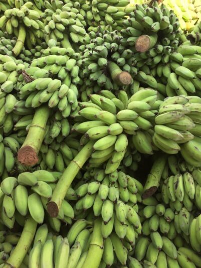 z2567704989871_4288df059ea8f49259f447c29dee2a4e