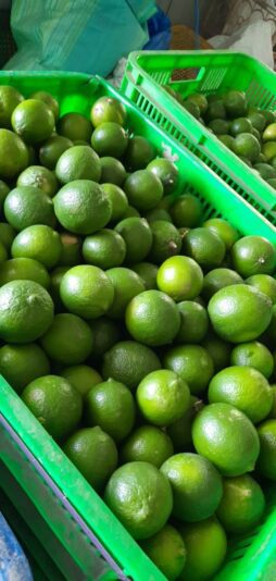 5a6a09250879f527ac68 (1)