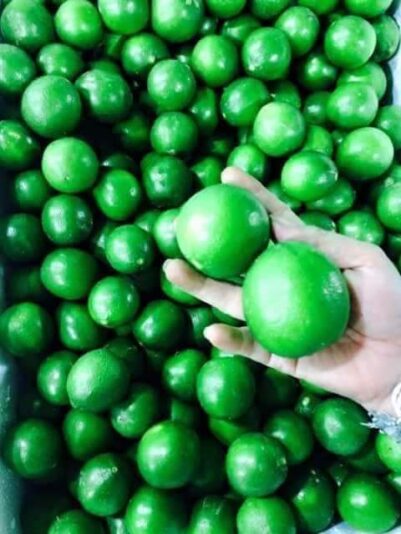 8ced8ea68ffa72a42beb (1)