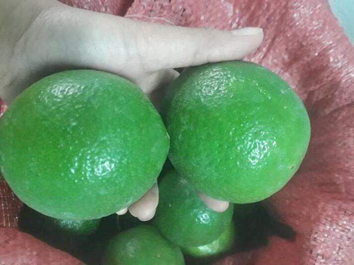 4319ab50aa0c57520e1d