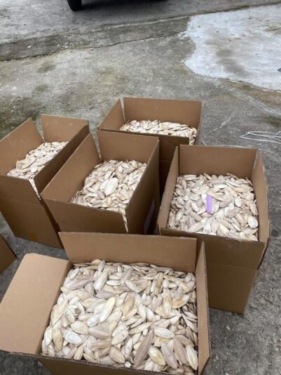 EA2450DF-BBDE-484A-ACB0-95EF84C44E5E